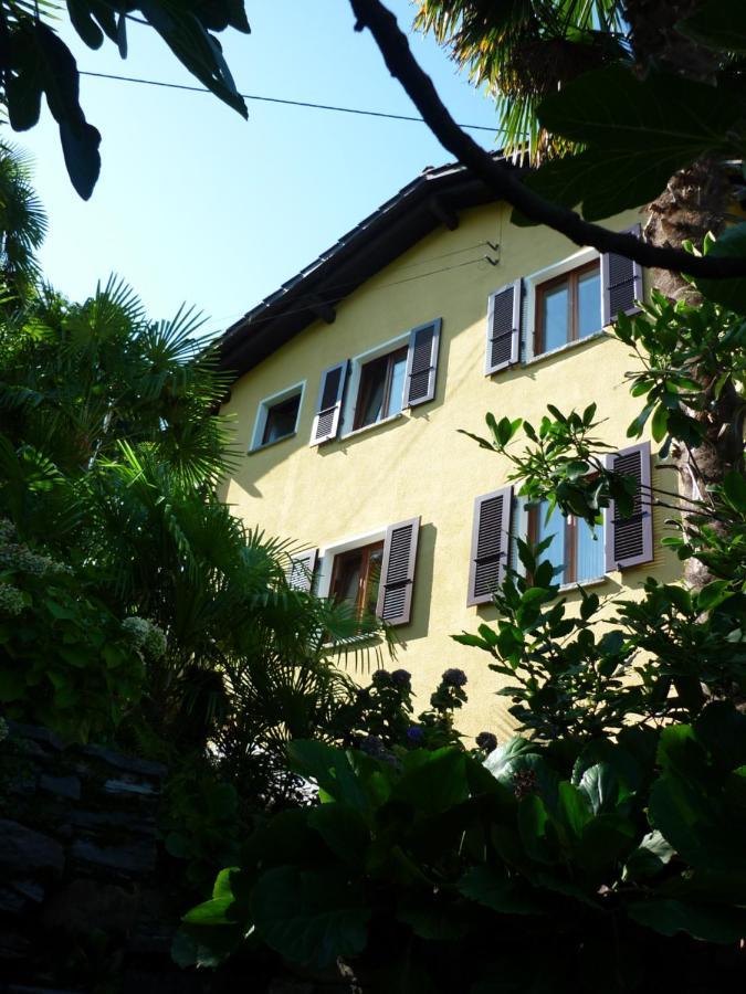 Casa Petra Apartment Gambarogno Exterior photo